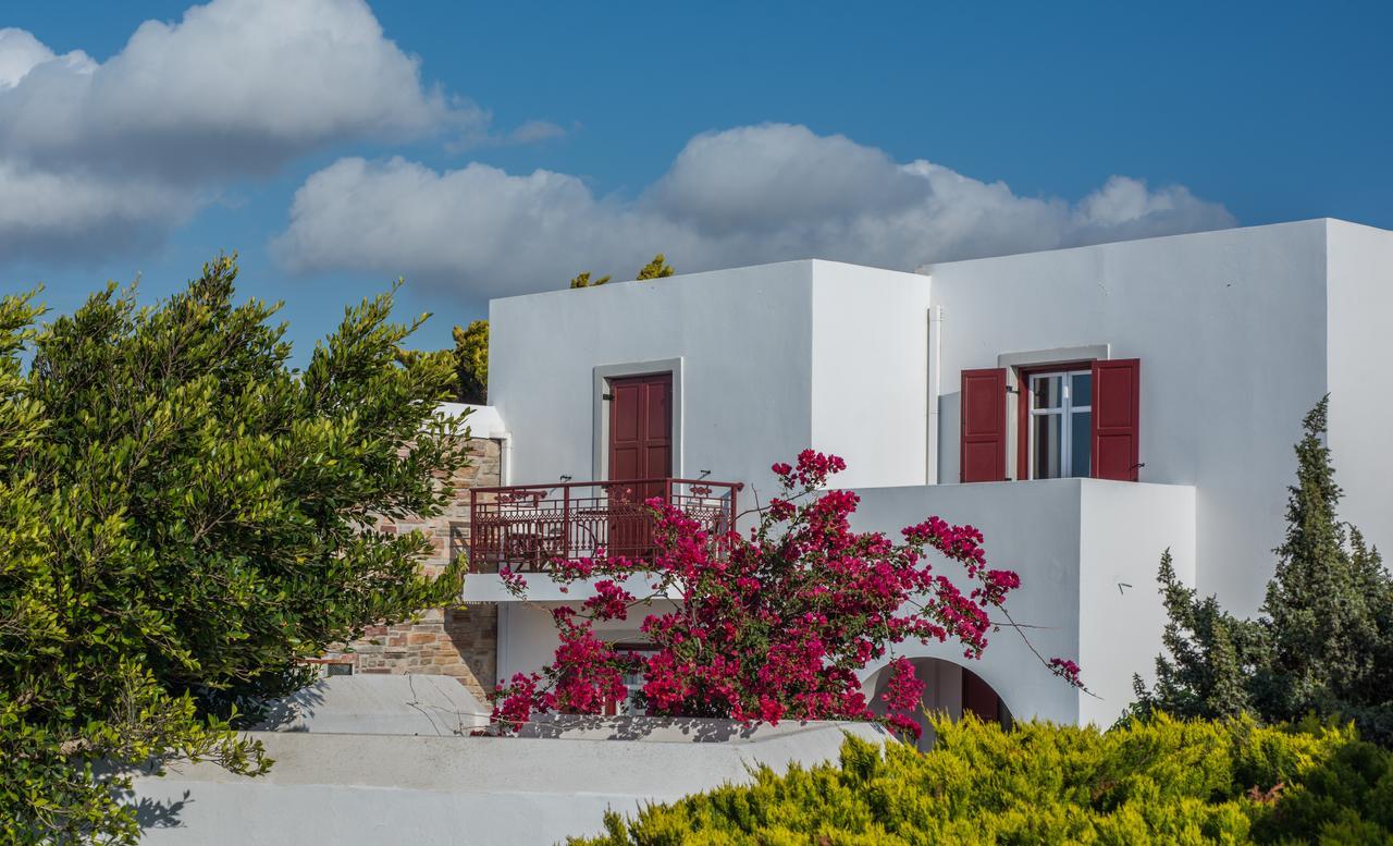 Naxos Palace Hotel Stelida  Eksteriør billede